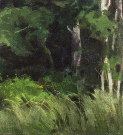birch_trees_1995