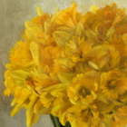daffodils_sq