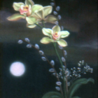 moonlit_orchids_sq