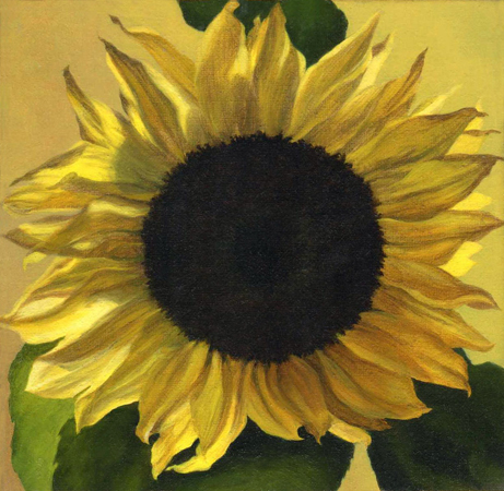 sunflower_2000