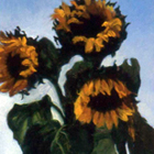 sunflowers_sq
